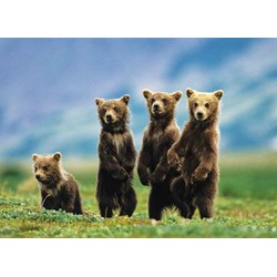 Eurographics (8300-0531) - "Bear Cubs Standing" - 300 pièces