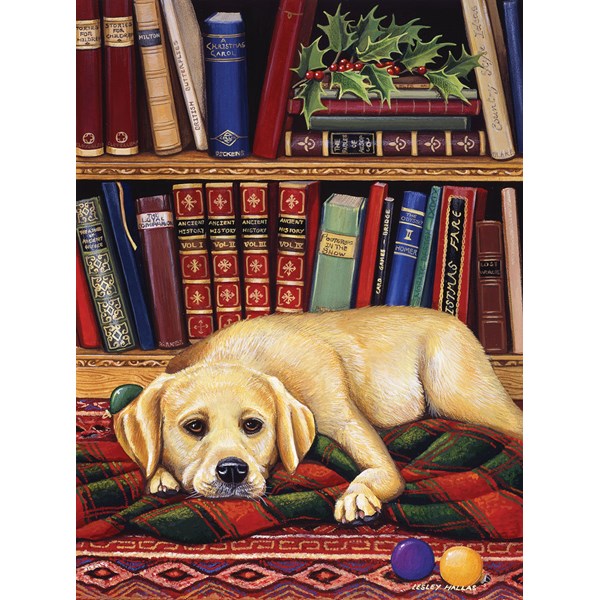 SunsOut (51731) - "Read to Me" - 1000 pièces