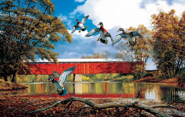 SunsOut (17829) - David A. Maass: "Eldin Bridge" - 550 pièces