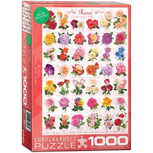 Eurographics (6000-0593) - "Roses" - 1000 pièces
