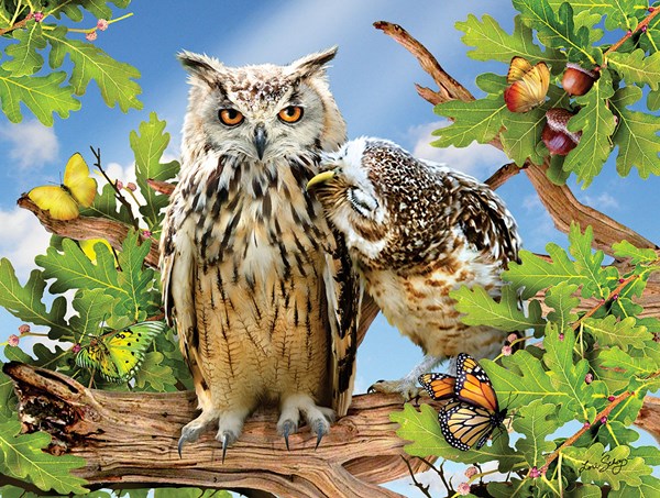 SunsOut (34950) - Lori Schory: "Owl Always Love You" - 500 pièces