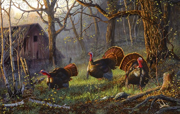 SunsOut (71075) - Terry Doughty: "Kings of the Hill" - 550 pièces