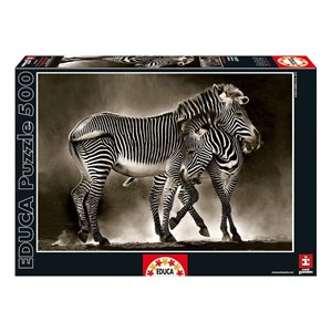 Educa (16359) - "Zebras" - 500 pièces