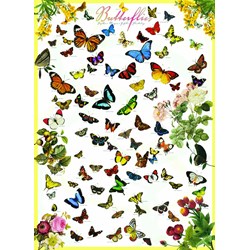 Eurographics (6000-0077) - "Papillons" - 1000 pièces