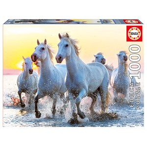 Educa (17105) - "White Horses At Sunset" - 1000 pièces