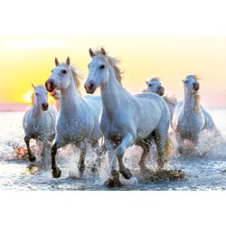 Educa (17105) - "White Horses At Sunset" - 1000 pièces