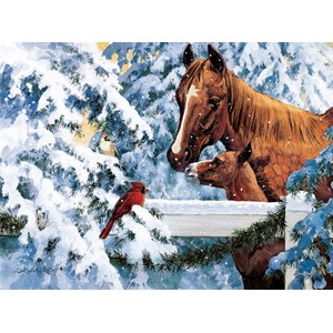 SunsOut (51266) - Douglas Laird: "Fence Top Friends" - 1000 pièces