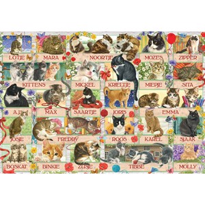 Jumbo (18324) - "Francien's Anniversary Cats" - 1000 pièces
