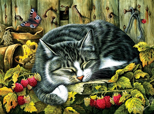 SunsOut (39425) - "Siesta" - 1000 pièces