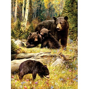 Cobble Hill (52102) - "Bears" - 500 pièces