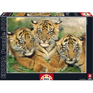 Educa (15965) - "Tiger Cubs" - 500 pièces