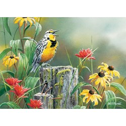 Cobble Hill (51720) - "Meadowlark Morning" - 1000 pièces