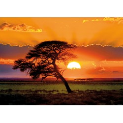 Heye (29689) - "Sunny Tree" - 1000 pièces