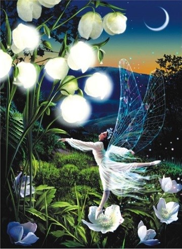 Anatolian (PER3148) - "Fairy Dance" - 1000 pièces