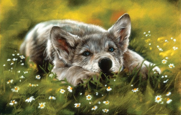 SunsOut (24755) - Leslie Harrison: "No Worries" - 550 pièces