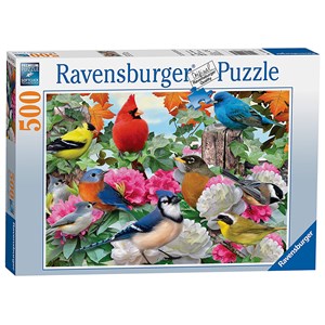 Ravensburger (14223) - Howard Robinson: "Garden Birds" - 500 pièces