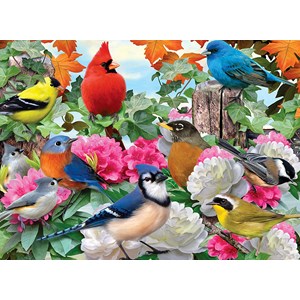 Ravensburger (14223) - Howard Robinson: "Garden Birds" - 500 pièces