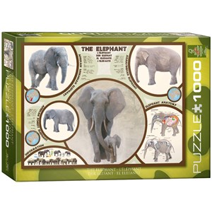 Eurographics (6000-0241) - "L'éléphant" - 1000 pièces