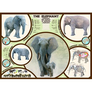 Eurographics (6000-0241) - "L'éléphant" - 1000 pièces