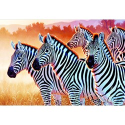 Trefl (261295) - "Zebras" - 1500 pièces