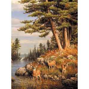 Buffalo Games (11168) - James Hautman: "Deer and Pines" - 1000 pièces
