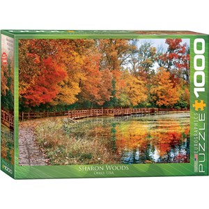 Eurographics (6000-0545) - "Forêt de Sharon, Ohio" - 1000 pièces