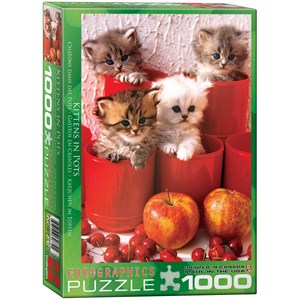 Eurographics (6000-4674) - "Chatons en pots" - 1000 pièces