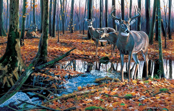 SunsOut (46556) - Jim Kasper: "After the Rain" - 1000 pièces