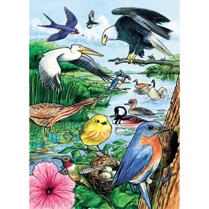 Cobble Hill (58809) - "North American Birds" - 35 pièces