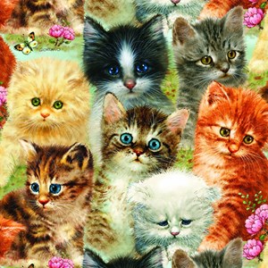 SunsOut (37116) - Greg Giordano: "A Pile of Kittens" - 1000 pièces