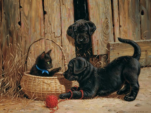 Cobble Hill (52068) - "Nosy Neighbors" - 500 pièces