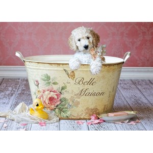 Educa (16736) - Lisa Jane: "Belle Maison" - 500 pièces