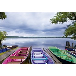 Educa (15984) - "Changement de Saison" - 1000 pièces