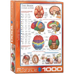 Eurographics (6000-0256) - "Le cerveau" - 1000 pièces