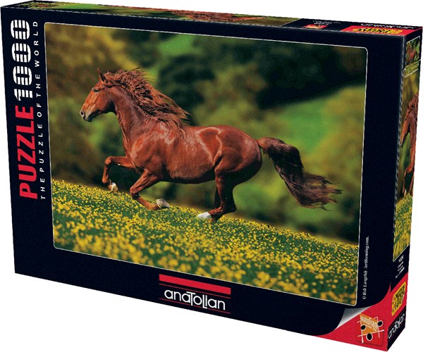 Anatolian (PER1026) - "Freedom" - 1000 pièces