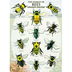 Eurographics (6000-0230) - "Le monde des abeilles" - 1000 pièces