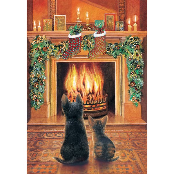 SunsOut (59415) - Chrissie Snelling: "Expectations" - 500 pièces