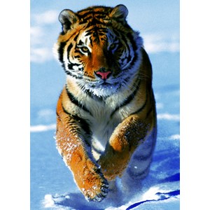 Trefl (37009) - "Snow Tiger" - 500 pièces