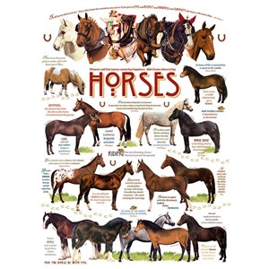Cobble Hill (51825) - "Horse Quotes" - 1000 pièces