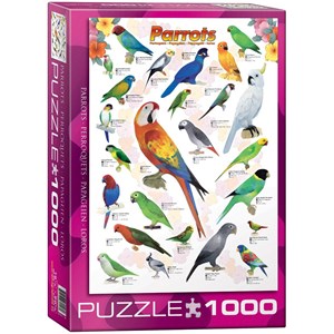 Eurographics (6000-0126) - "Les perroquets" - 1000 pièces
