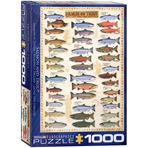 Eurographics (6000-0311) - "Le saumon et la truite" - 1000 pièces