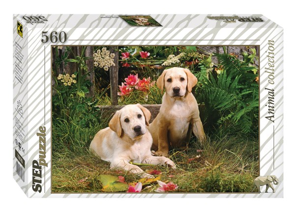 Step Puzzle (78076) - "Labrador Puppies" - 560 pièces