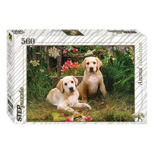 Step Puzzle (78076) - "Labrador Puppies" - 560 pièces