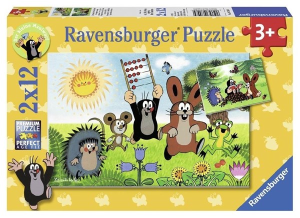 Ravensburger (07558) - "La Leçon en s'amusant" - 12 pièces