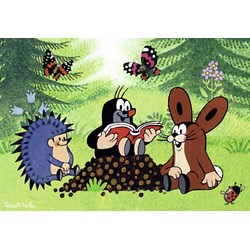 Ravensburger (07558) - "La Leçon en s'amusant" - 12 pièces