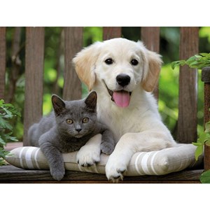 Ravensburger (14234) - "Friendly Opposites" - 500 pièces