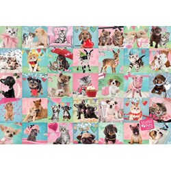 Jumbo (19353) - "Lovely Day" - 1000 pièces