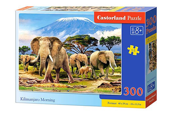 Castorland (B-030019) - "Kilimanjaro Morning" - 300 pièces