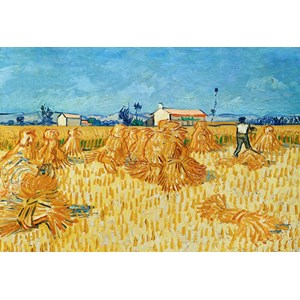 Grafika Kids (00022) - Vincent van Gogh: "Moissons en Provence, 1888" - 12 pièces