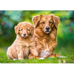 Castorland (13265) - "Always Together" - 120 pièces